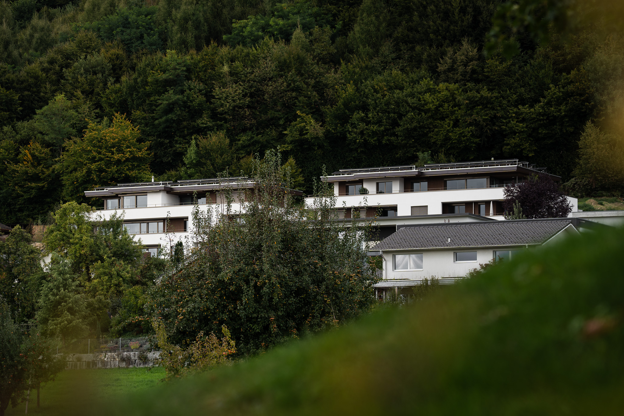 Bild - Kollektivw Wikon 02 WEB